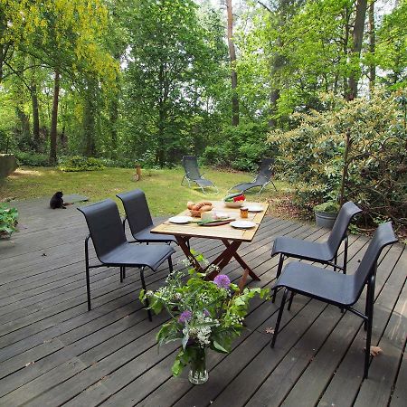 Ferienwohnung Am Duemmer See Dummer Exteriér fotografie
