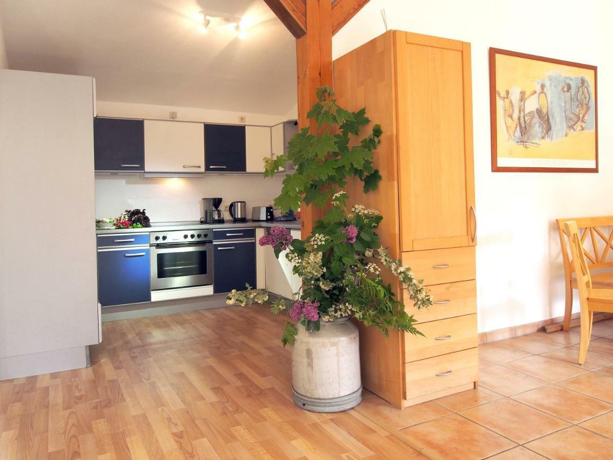 Ferienwohnung Am Duemmer See Dummer Exteriér fotografie