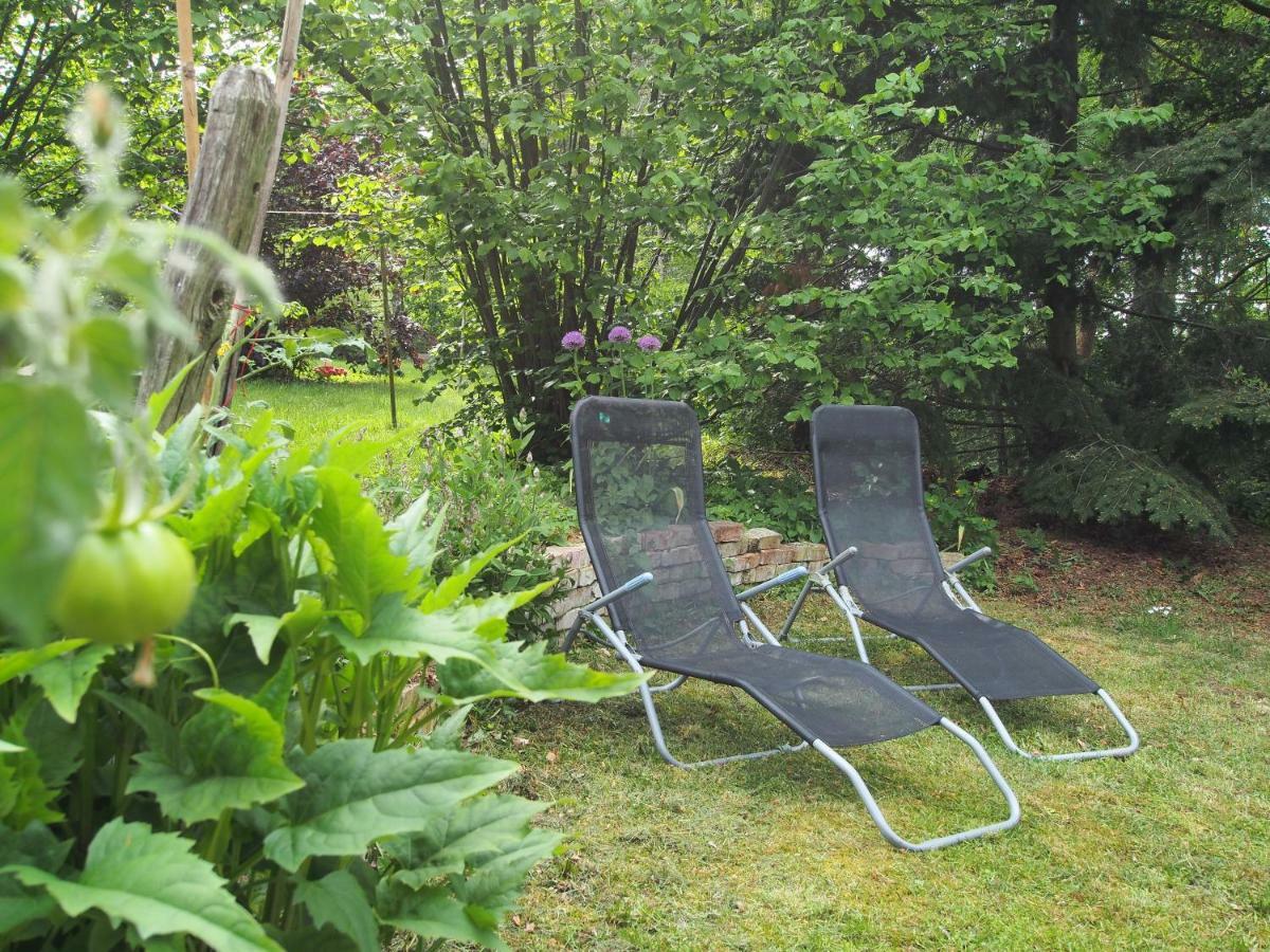 Ferienwohnung Am Duemmer See Dummer Exteriér fotografie