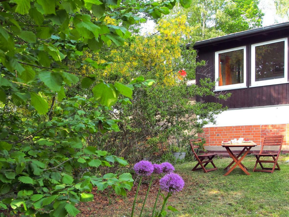 Ferienwohnung Am Duemmer See Dummer Exteriér fotografie