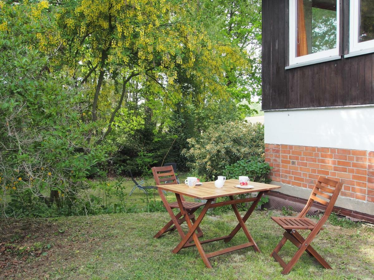 Ferienwohnung Am Duemmer See Dummer Exteriér fotografie